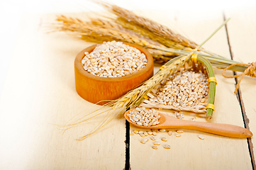 Image showing organic wheat grains