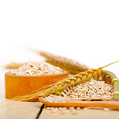 Image showing organic wheat grains