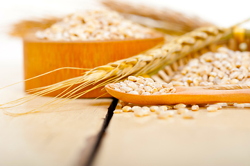 Image showing organic wheat grains