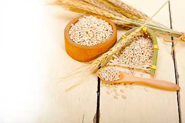 Image showing organic wheat grains