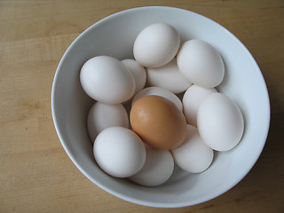 Image showing white and brown eggs