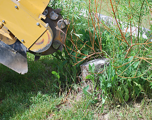 Image showing Stump machine at work.