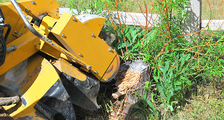 Image showing Stump machine at work.