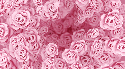 Image showing Pink roses background with shallow depth of field