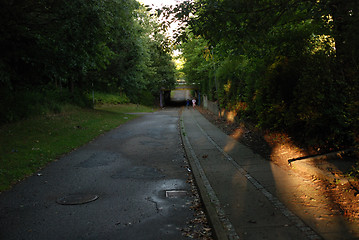 Image showing Cycle Path with Tunnel 