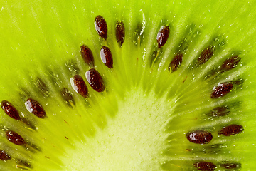 Image showing fresh green kiwi macro