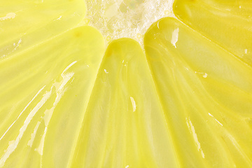 Image showing lemon pulp macro