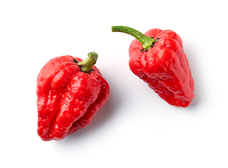 Image showing hot red ghost peppers