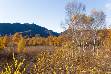 Image showing Senjogahara moor trail