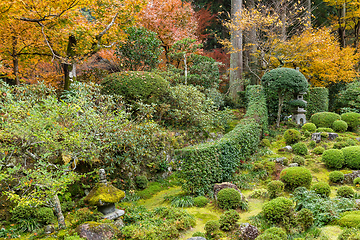 Image showing Japanese temple in autumn season