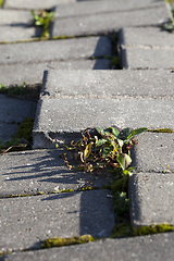 Image showing Damaged tiles