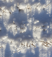 Image showing Snow drifts