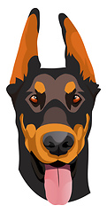 Image showing Doberman illustration vector on white background