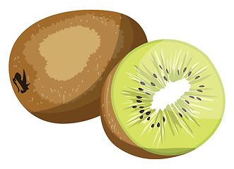 Image showing Brown kiwi fruit and green kiwi half vector illustration on whit