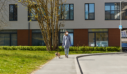 Image showing woman in mask and gloves with dog walking in city