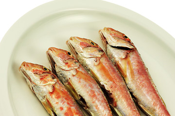 Image showing Red Mullet