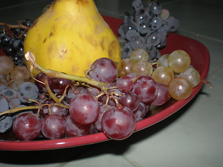 Image showing Autumn fruits