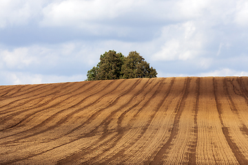 Image showing Plowed field