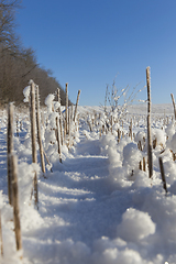 Image showing Snow drifts