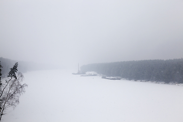 Image showing forest in winter