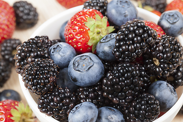 Image showing wild berries