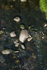 Image showing small river stone