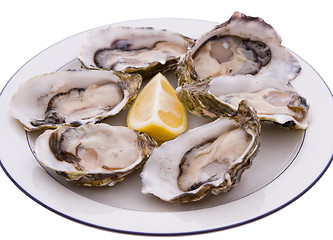 Image showing Plate Of Oysters