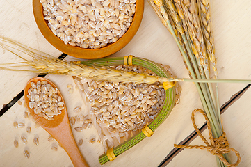 Image showing organic barley grains