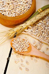 Image showing organic barley grains