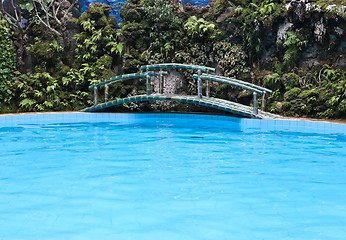 Image showing Pool