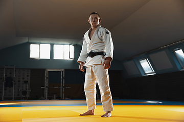 Image showing Young judo fighter in kimono posing comfident in the gym, strong and healthy