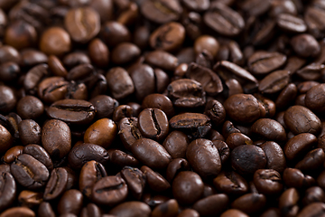 Image showing Grilled Coffee bean