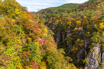 Image showing Rocky cliffs in Miyagi