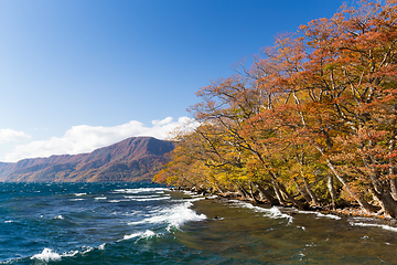 Image showing Lake Towada in autumn