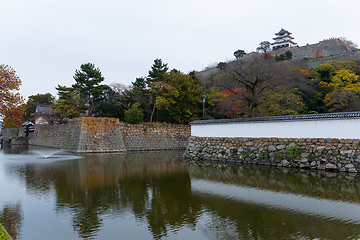 Image showing Japanese Marugame Castle in Japan