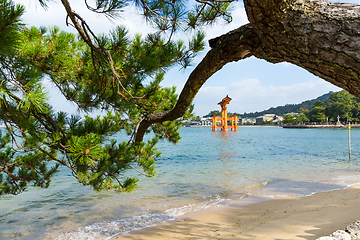 Image showing Itsukushima Shrine in Japan