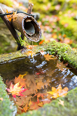 Image showing Traditional bamboo fountain in autumn