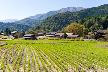 Image showing Japanese Shirakawago village 