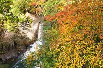 Image showing Waterfall in Naruko canyon