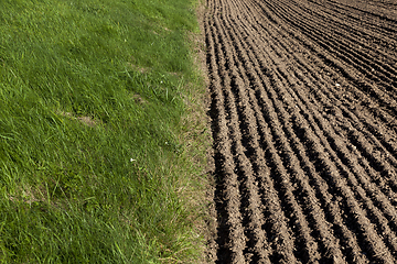 Image showing border of plowed land