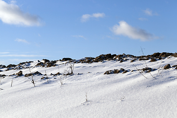 Image showing plowed agricultural land