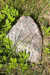 Image showing Stone on green