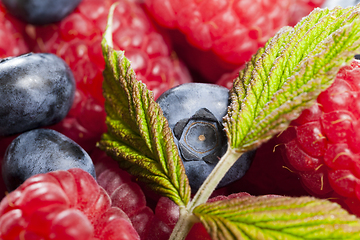 Image showing berries background