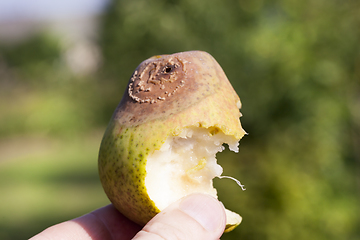 Image showing bitten ripe pear