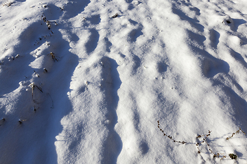 Image showing Snow drifts in winter