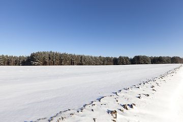 Image showing Snow drifts in winter