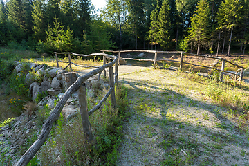 Image showing pond in the summer forest