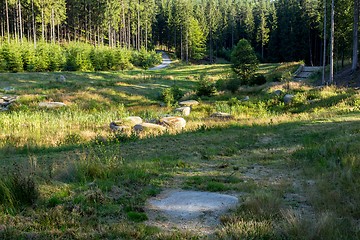 Image showing pond in the summer forest