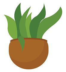 Image showing Clipart of a green plant potted on a brown earthen pot vector or