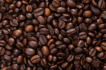 Image showing Coffee bean